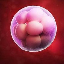 在湘潭市中心医院做试管婴儿要多少钱？成功率怎么样？附试管怀孕机构名单一览