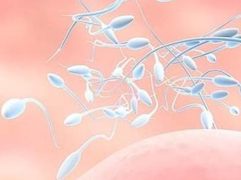 泰国三代试管婴儿费用如何？价目表有吗？