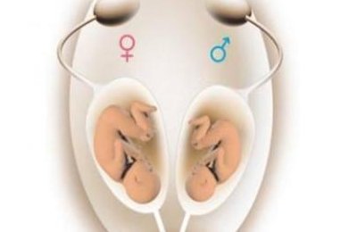 盆腔炎在景德镇做试管三代试管需要多少钱？附成功率解析